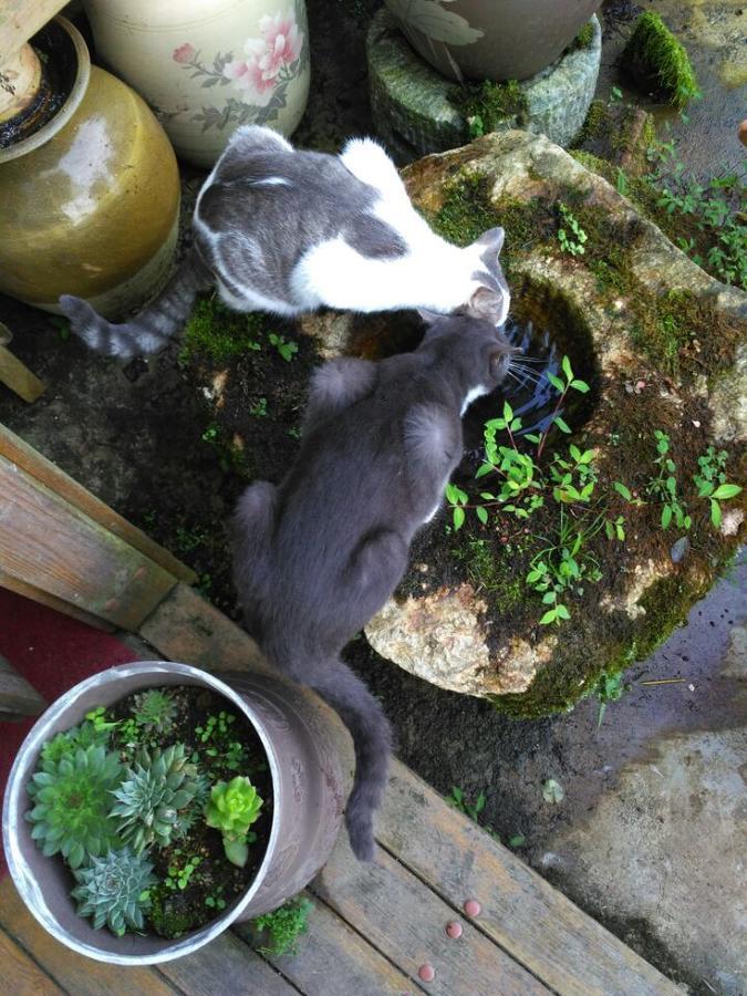 Flowers Residence หยวนหยาง ภายนอก รูปภาพ